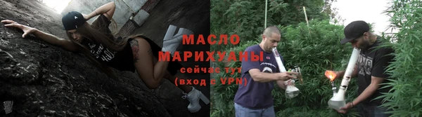 трава Коряжма