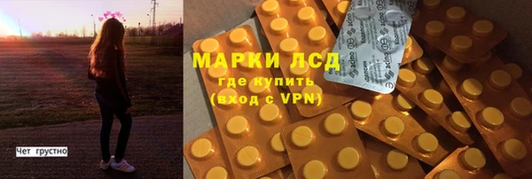трава Коряжма