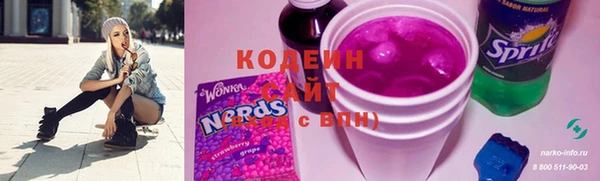 трава Коряжма