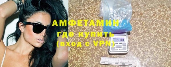 трава Коряжма