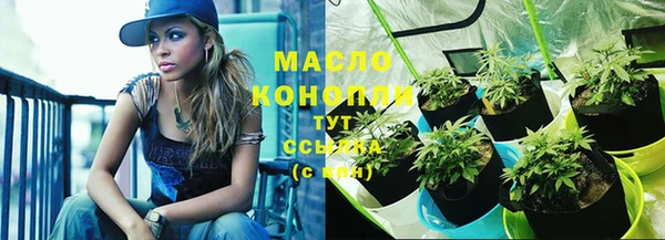 трава Коряжма