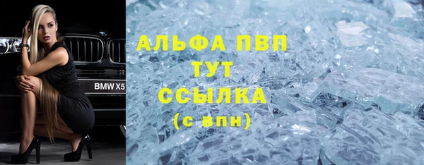 трава Коряжма